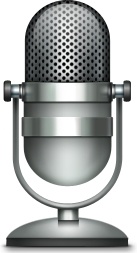 microphone 94335